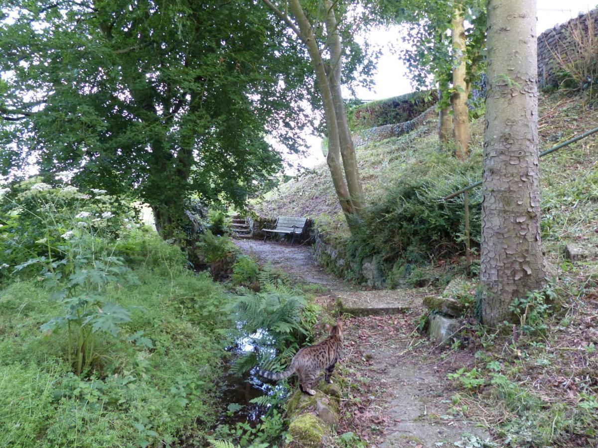 Relax In A 1 Bedroom Apartment Near A Country Pub Eyemouth Luaran gambar